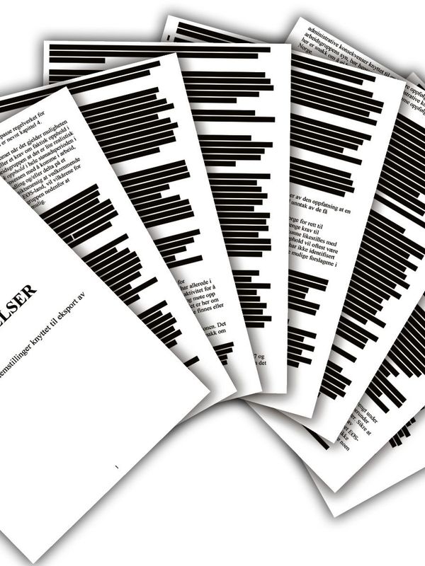Tvinger hemmelig Nav-rapport fram i lyset