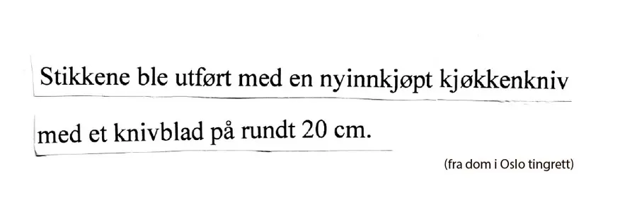 Stikkene ble utført med en nyinnkjøpt kjøkkenkniv med et knivblad på rundt 20 cm. (fra dom i Oslo tingrett)