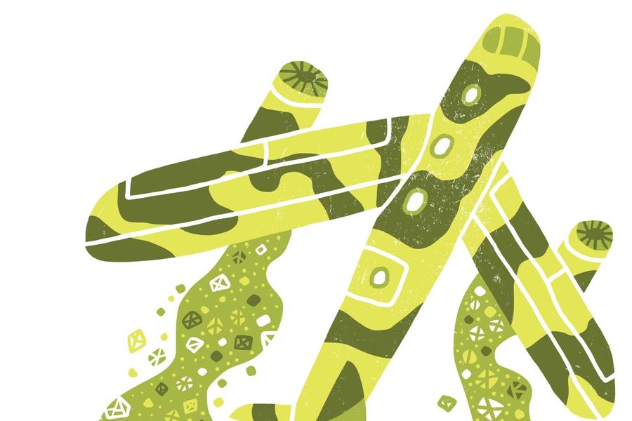 Hvor drastisk bør vi gå til verks for å reparere skadene mennesket har påført jordkloden?