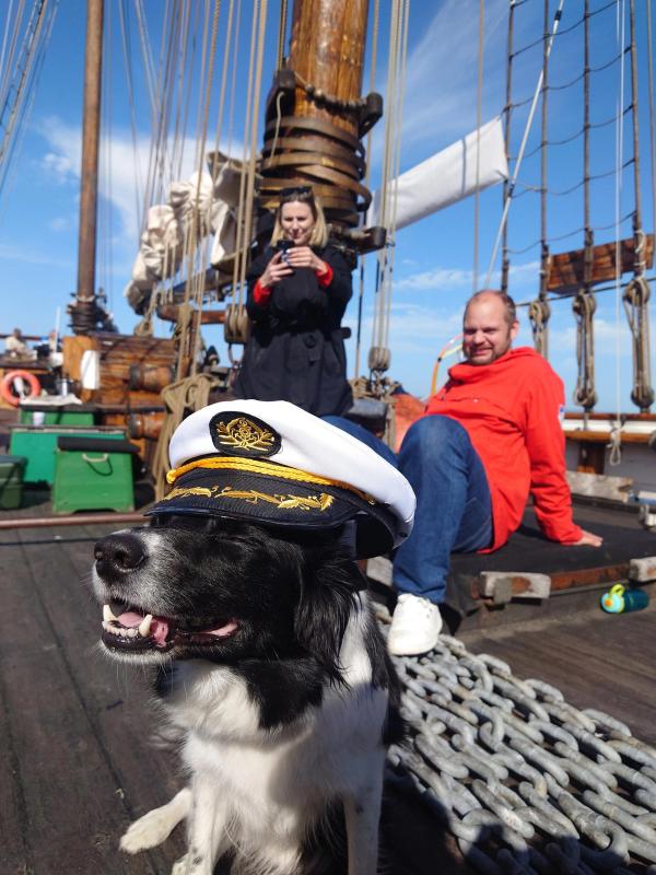 Motsetninger kan i beste fall eksistere i slags harmoni.