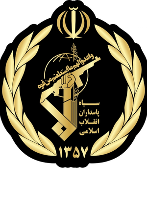 Amir Babakhani: Den europeiske union har endelig tatt et avgjørende skritt