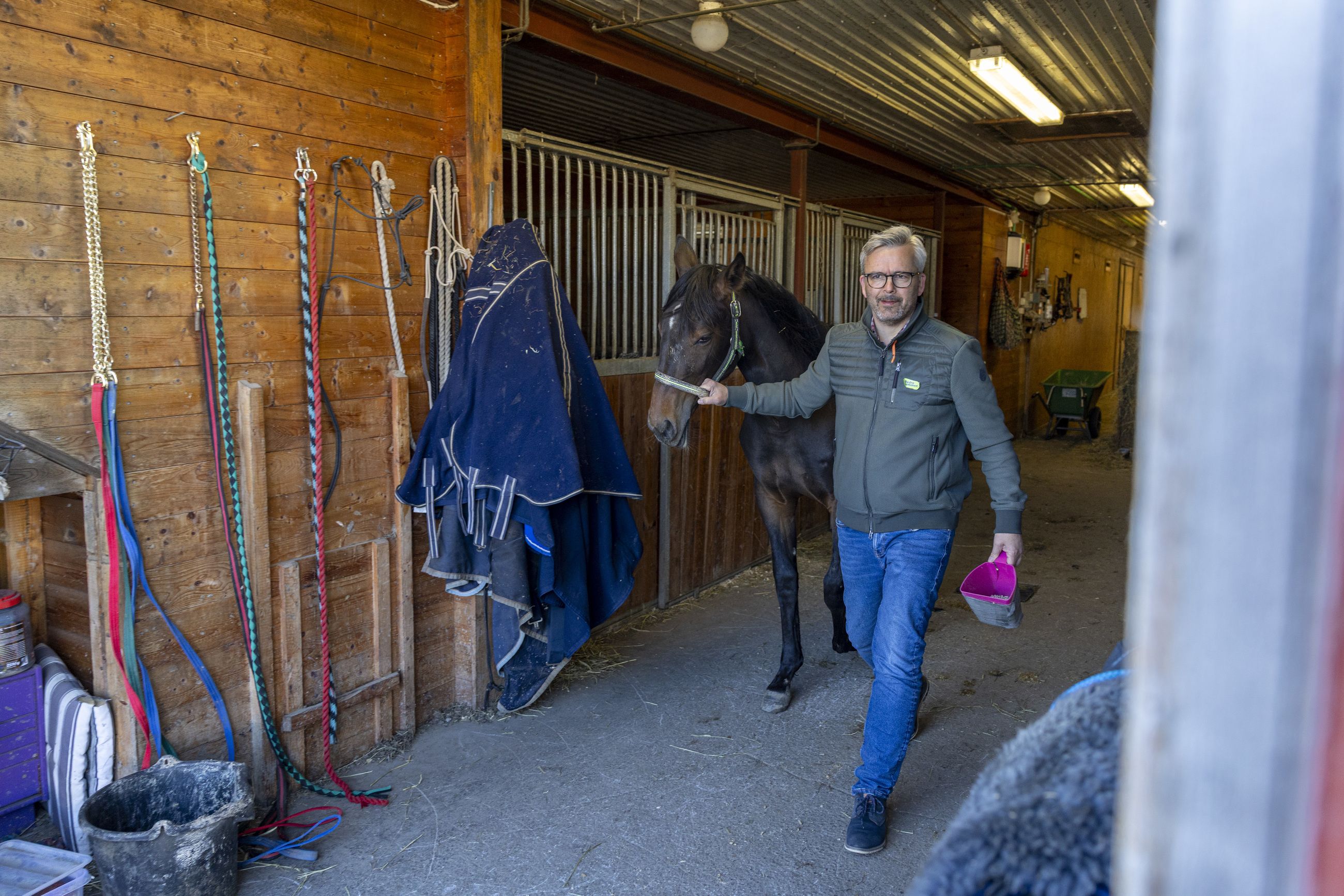 Leder an: Østre Toten-ordfører Bror Helgestad (Sp) tar en av travhestene på familiegården ut på luftetur.