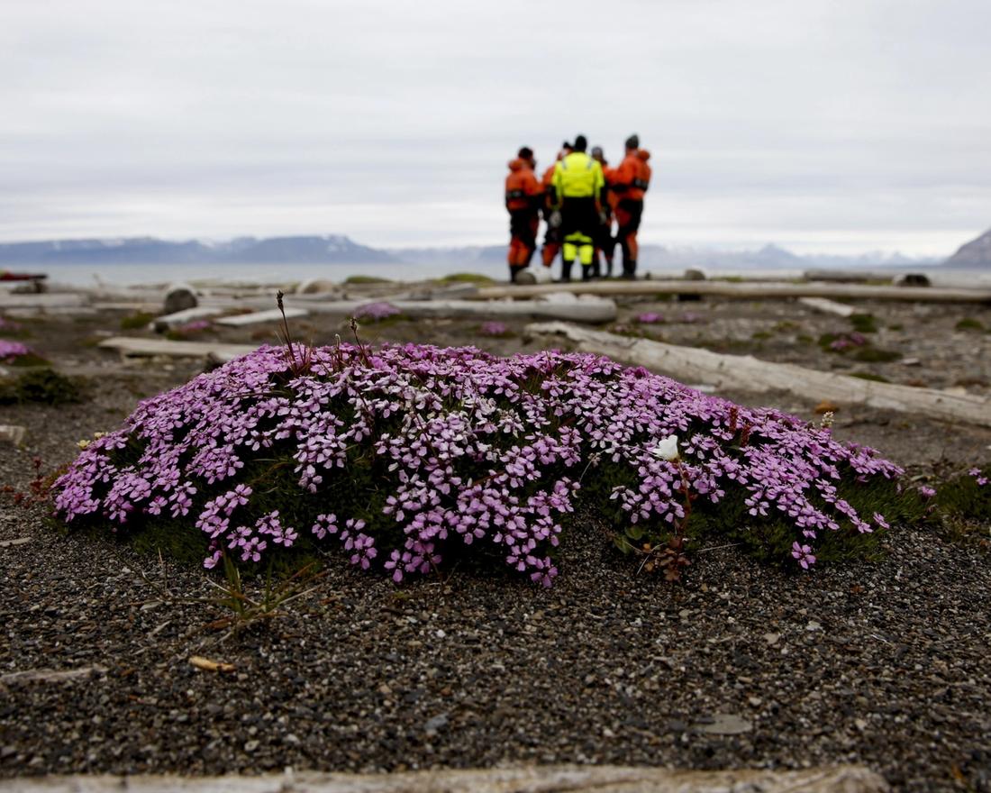 Naturen i Arktis endres på grunn av litt varmere temperatur. klima-og miljøminster Ola Elvestuen og hans følge fikk oppleve den karrige men rike Svalbard-naturen da han i sommer besøkte øygruppa.