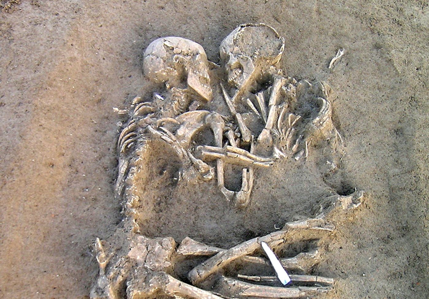This handout picture given by the Italian cultural ministry 07 February 2007 shows a pair of human skeletons embracing themselves at a Neolithic tomb in Valdaro-S.Giorgio near Mantova. Archeologists who found the couple 06 February say the couple could have been buried some 6000 years ago. AFP PHOTO/ITALIAN CULTURAL MINISTRY/HO
