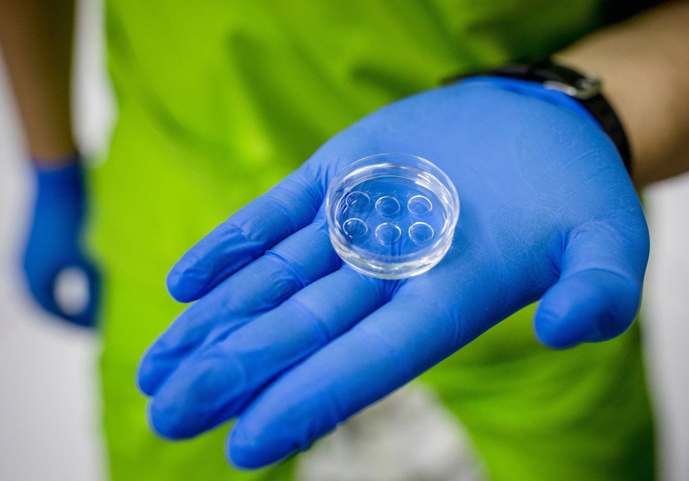 Inne på ett lab sitter doctor Jordan från Spanien och befruktar egg med spermier som sedan blir planterade in i surrogatmodern.