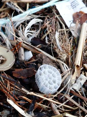 Oda Indgaard: Å utsette nasjonale tiltak i påvente av global enighet, gir i praksis land som Russland og Saudi-Arabia innflytelse over norsk folkehelsepolitikk.