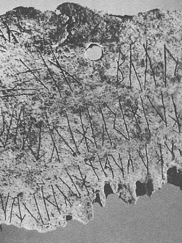 Historien er full av folk og dyr som har mistet hodet. Hva kan de fortelle oss?