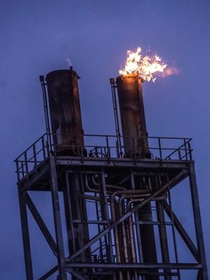 Sofie Marhaug: SV og Lars Halt­brekken har kjøpt oljelobbyens argumenter. 