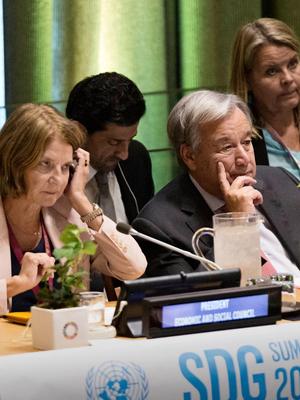 Ap har beskytta det Epstein-tilknytta diplo­mat­paret, meiner Hilde Henriksen Waage