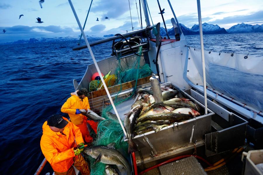 Kystfiskarlaget advarer regjeringen: – Kommer til å gå til helvete