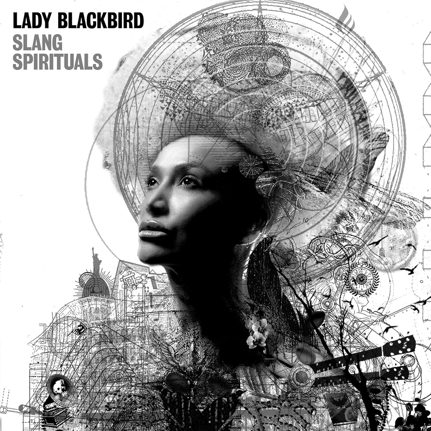 Lady Blackbird