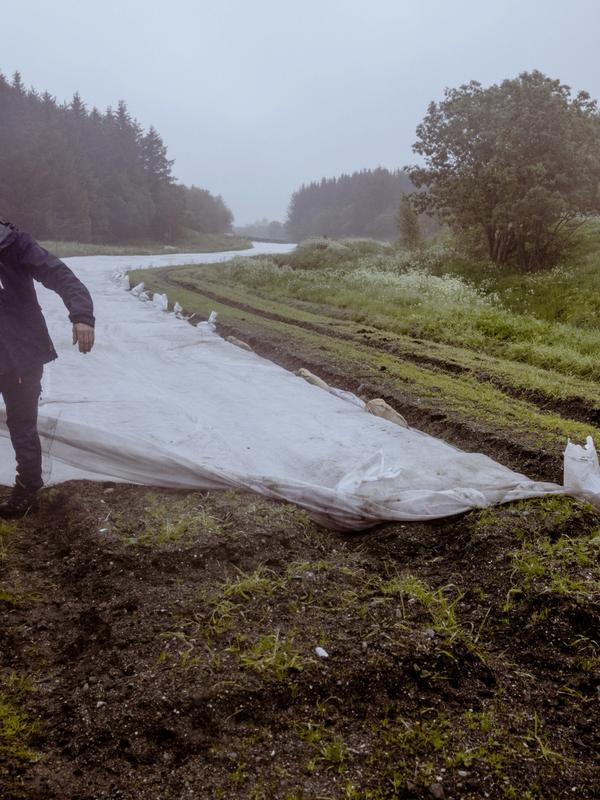 Antallet grøntprodusenter stuper i Nord-Norge. Veien til butikkhyllene er fulle av hindre.