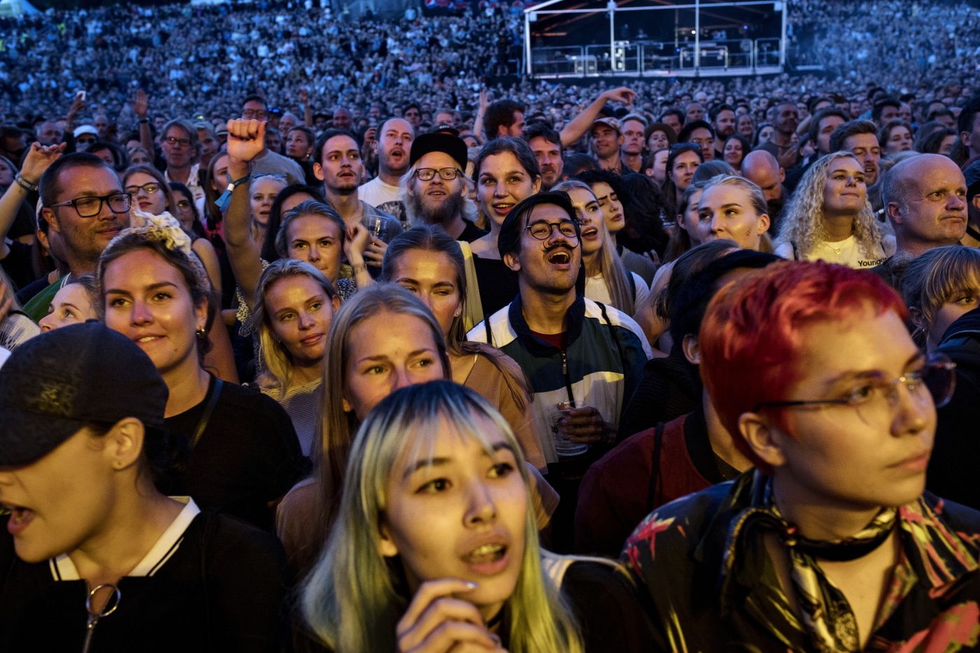 Oslo 08.08.18: Måker gjør byfolk av seg på grunn av tørke og matmangel. Foto: John Trygve Tollefsen.