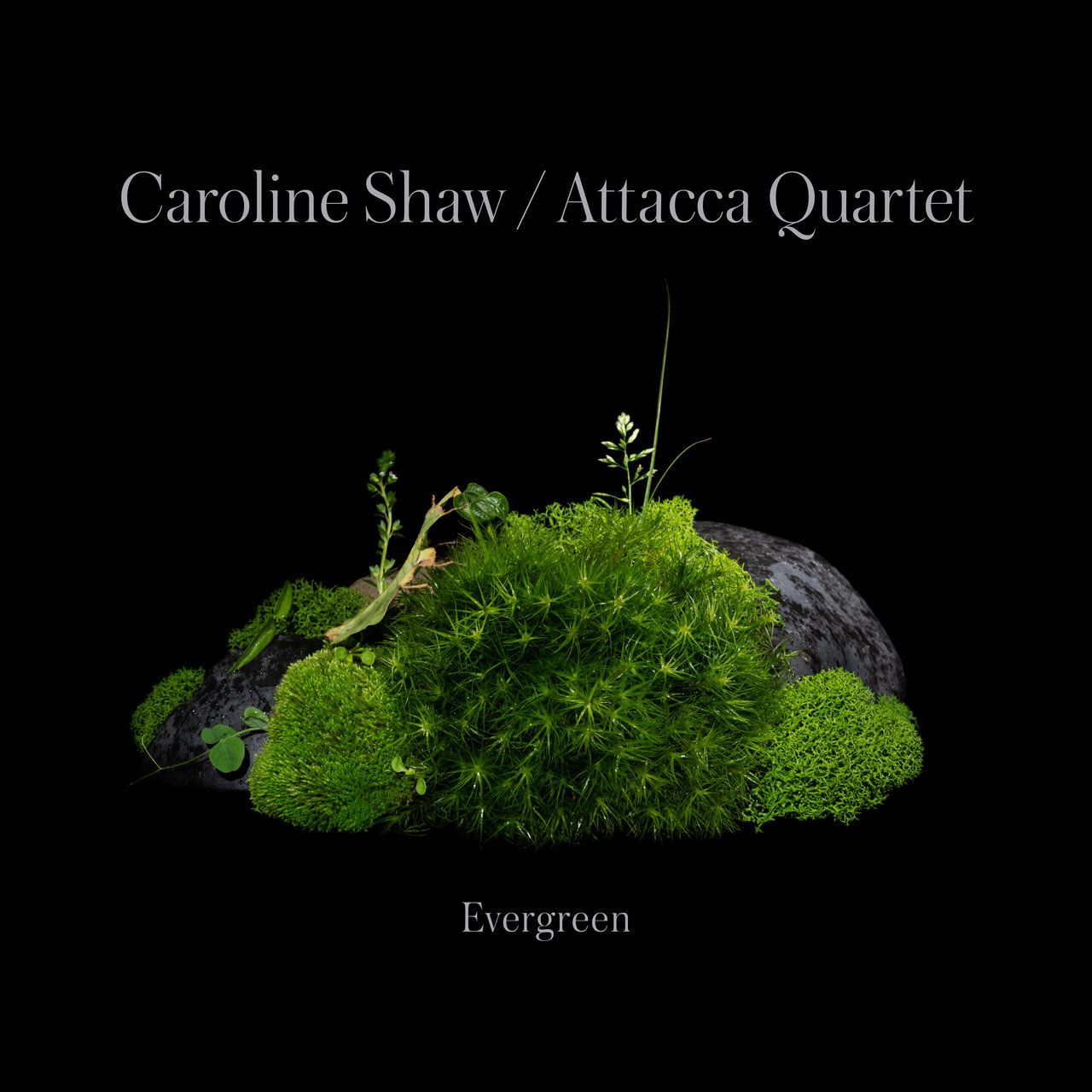 Caroline Shaw & Attaca Quartet