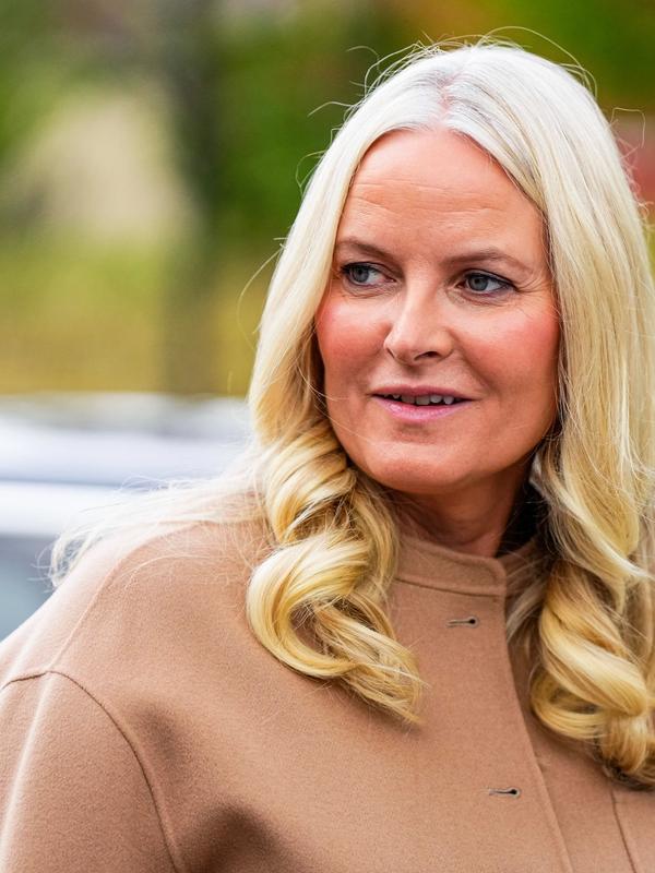 Meldingsutvekslingen mellom kronprinsessen og Epstein: – Får et preg av pute-tv