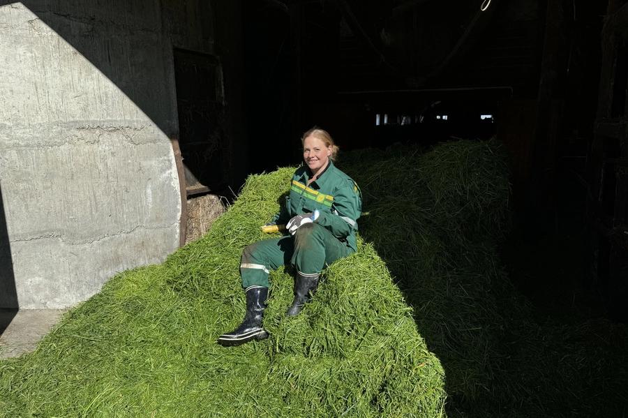 Lisa Alvestad (38) fikk slakta en okse for å servere burgere på valgkampturné