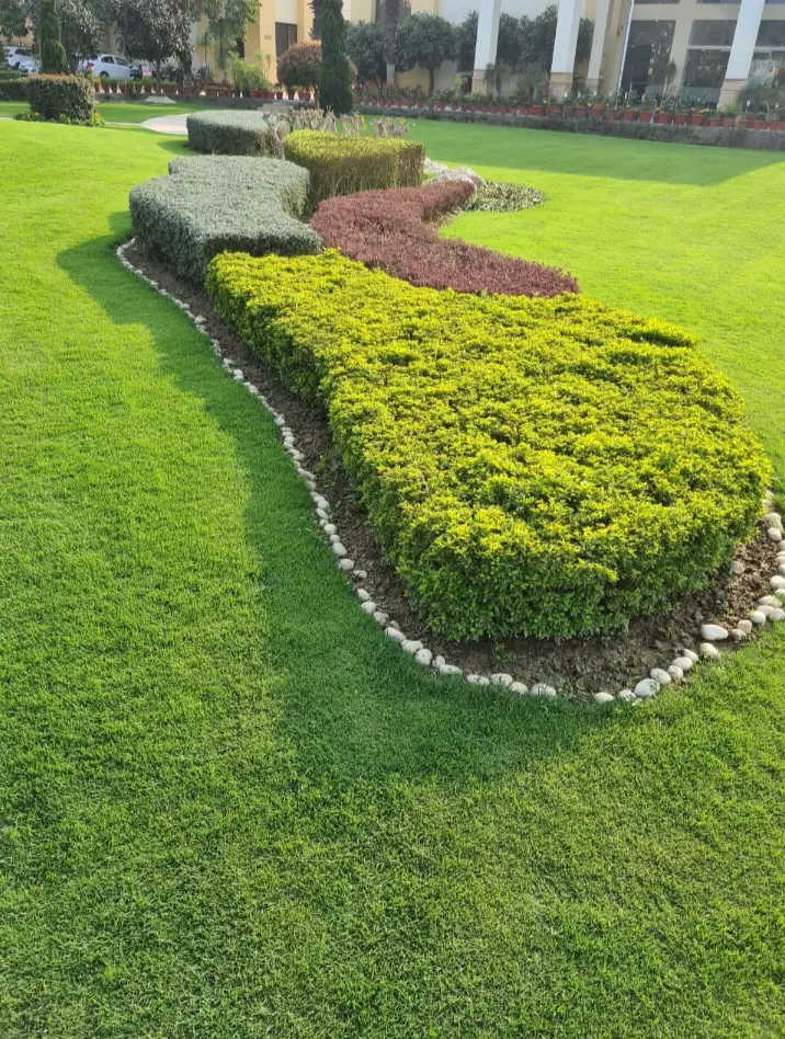 Landscaping Services in Delhi NCR: The Complete Homeowners Guide to Creating Outdoor Spaces