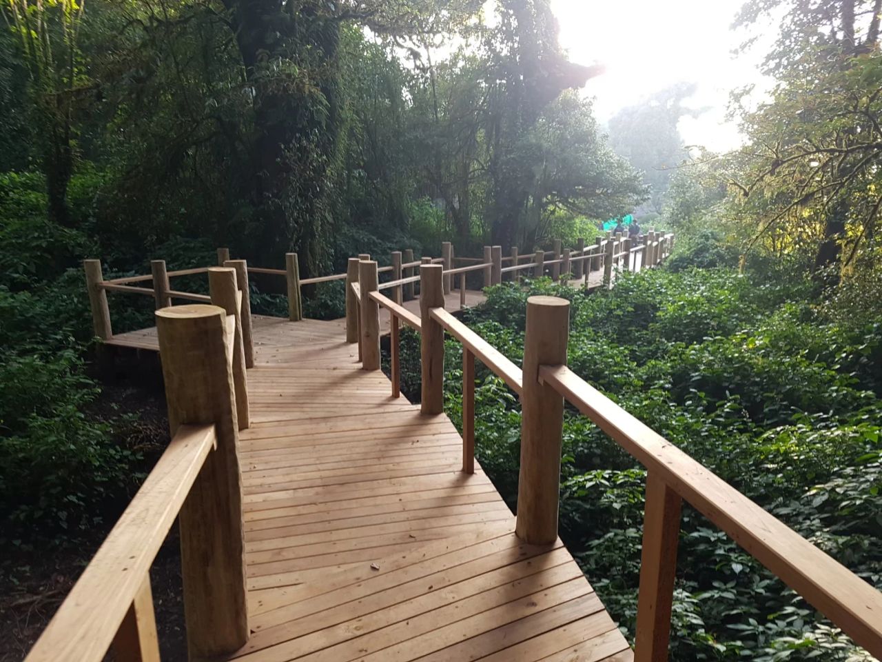 Inthanon Walkway — project photograph 18