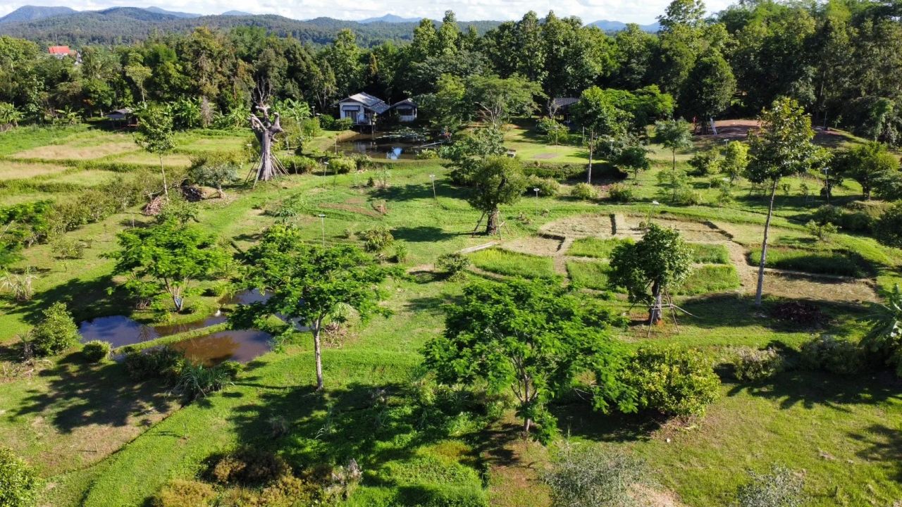 Tham-Tham Pai Garden — project photograph 14