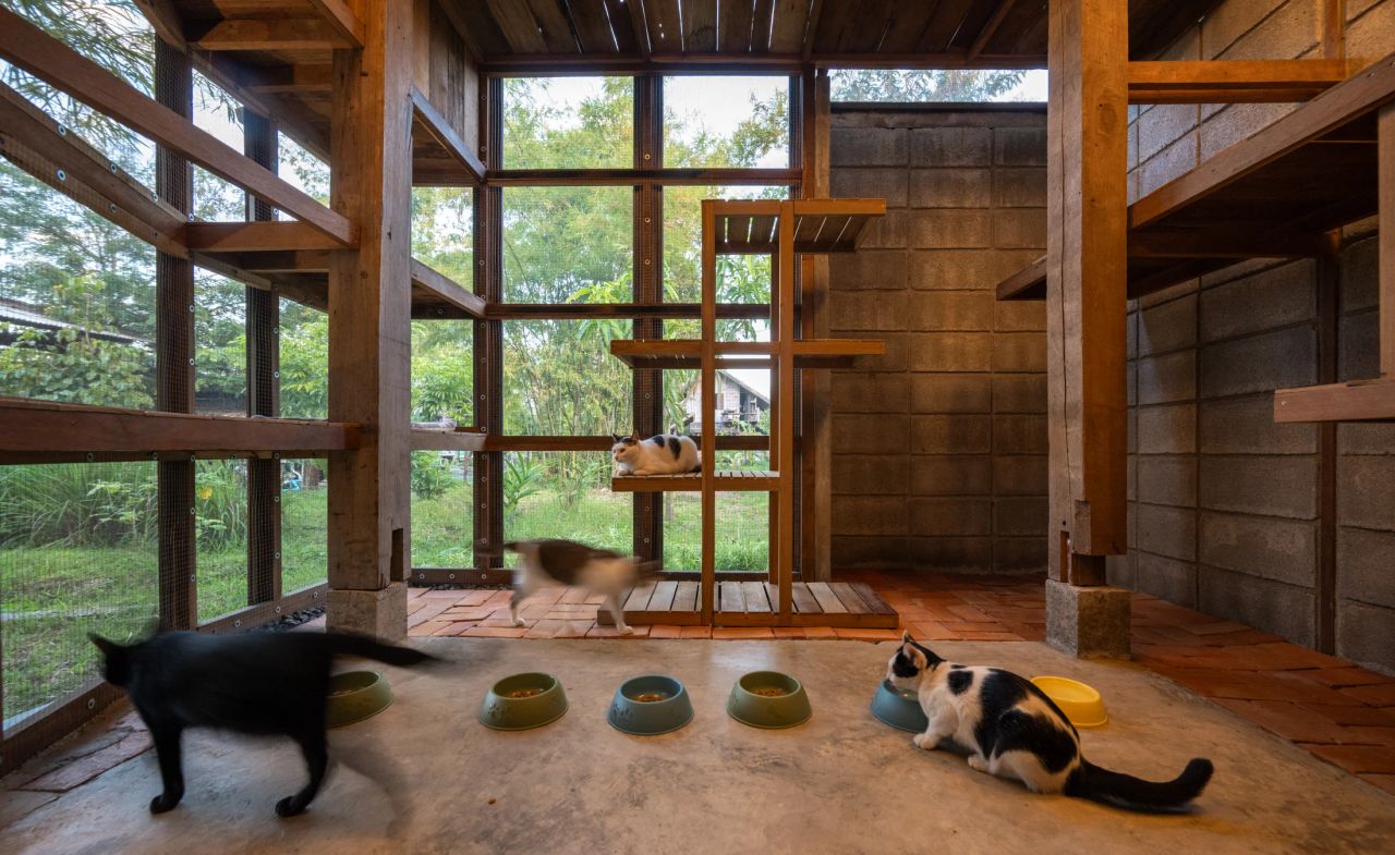 Summer House — project photograph 10
