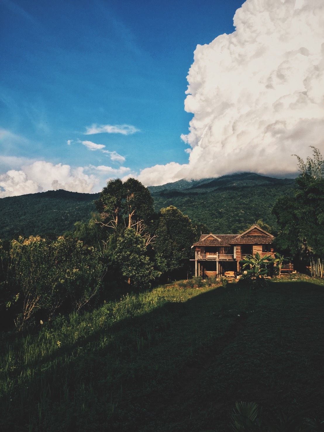 Baan Yong — photograph 18
