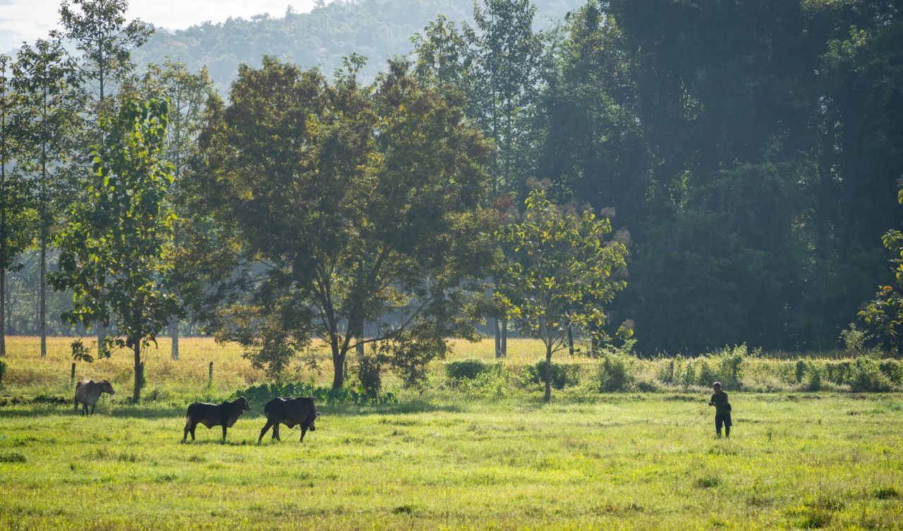 Raintree Lane Farm House — project photograph 31