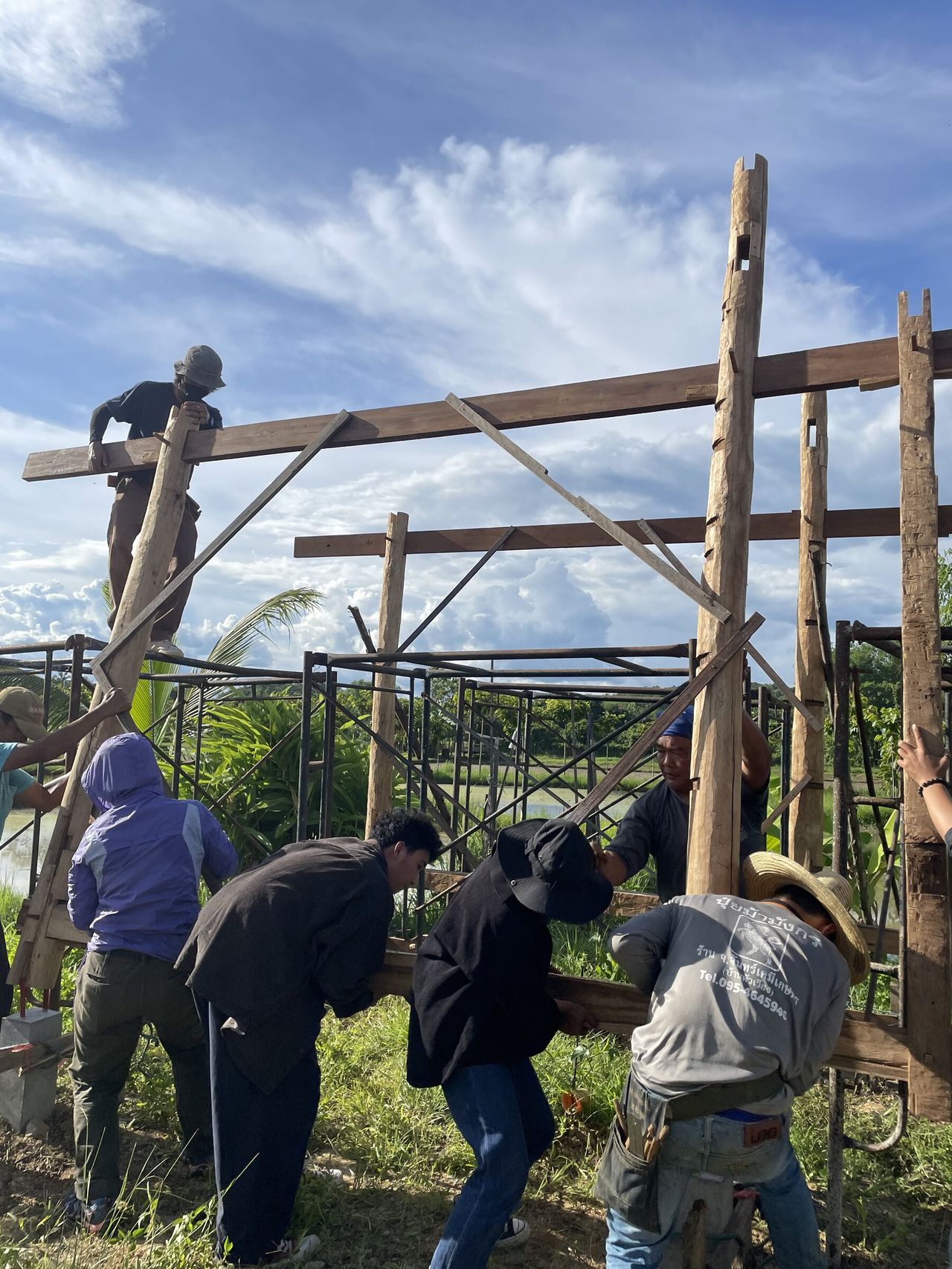A group assembling a bamboo shelter outdoors