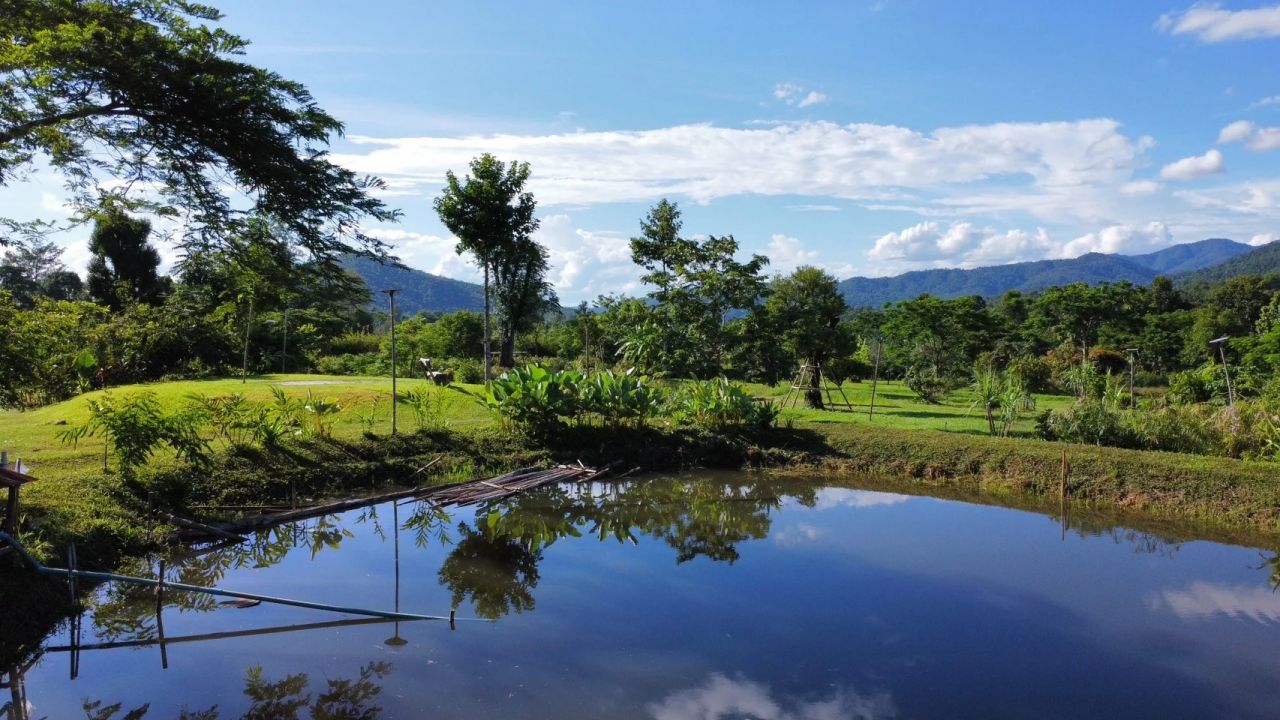 Tham-Tham Pai Garden — project photograph 10