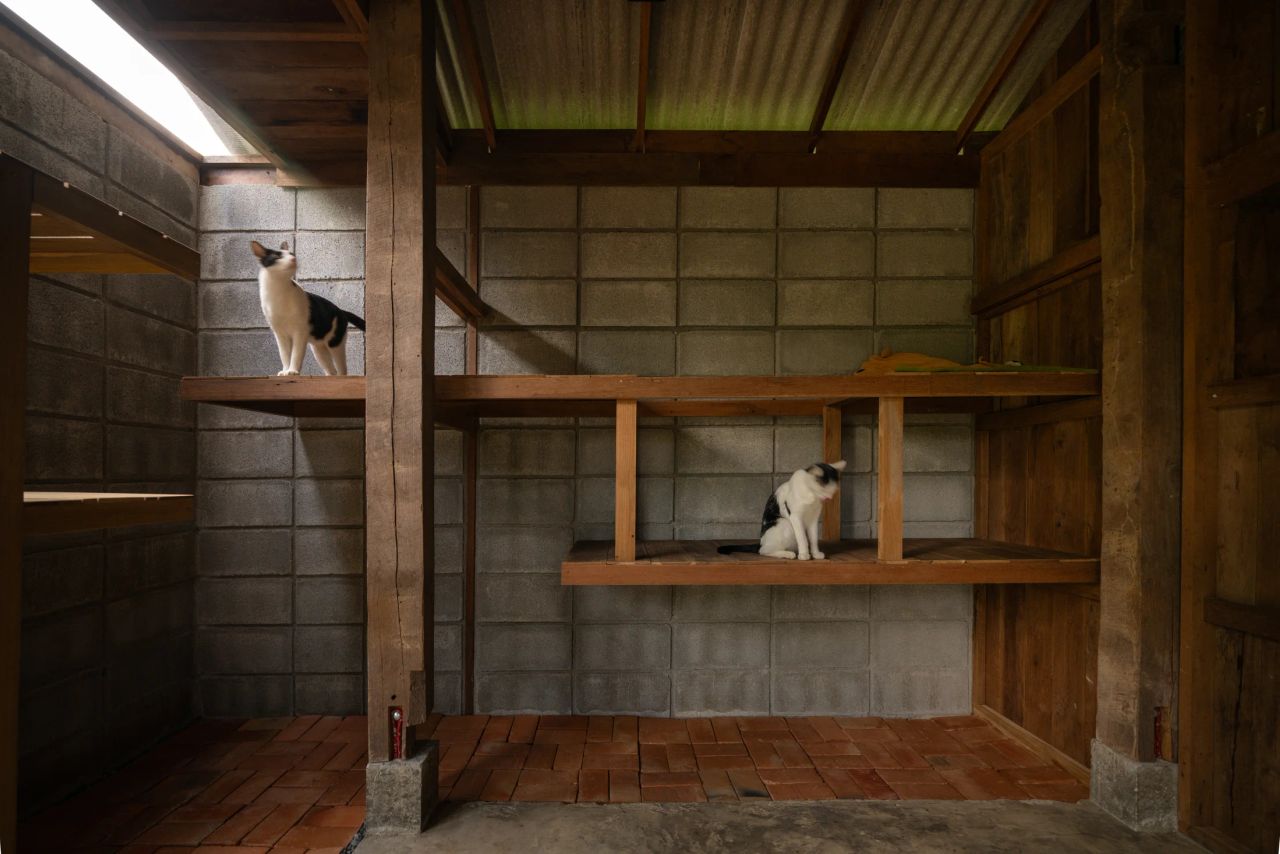 Summer House — project photograph 23