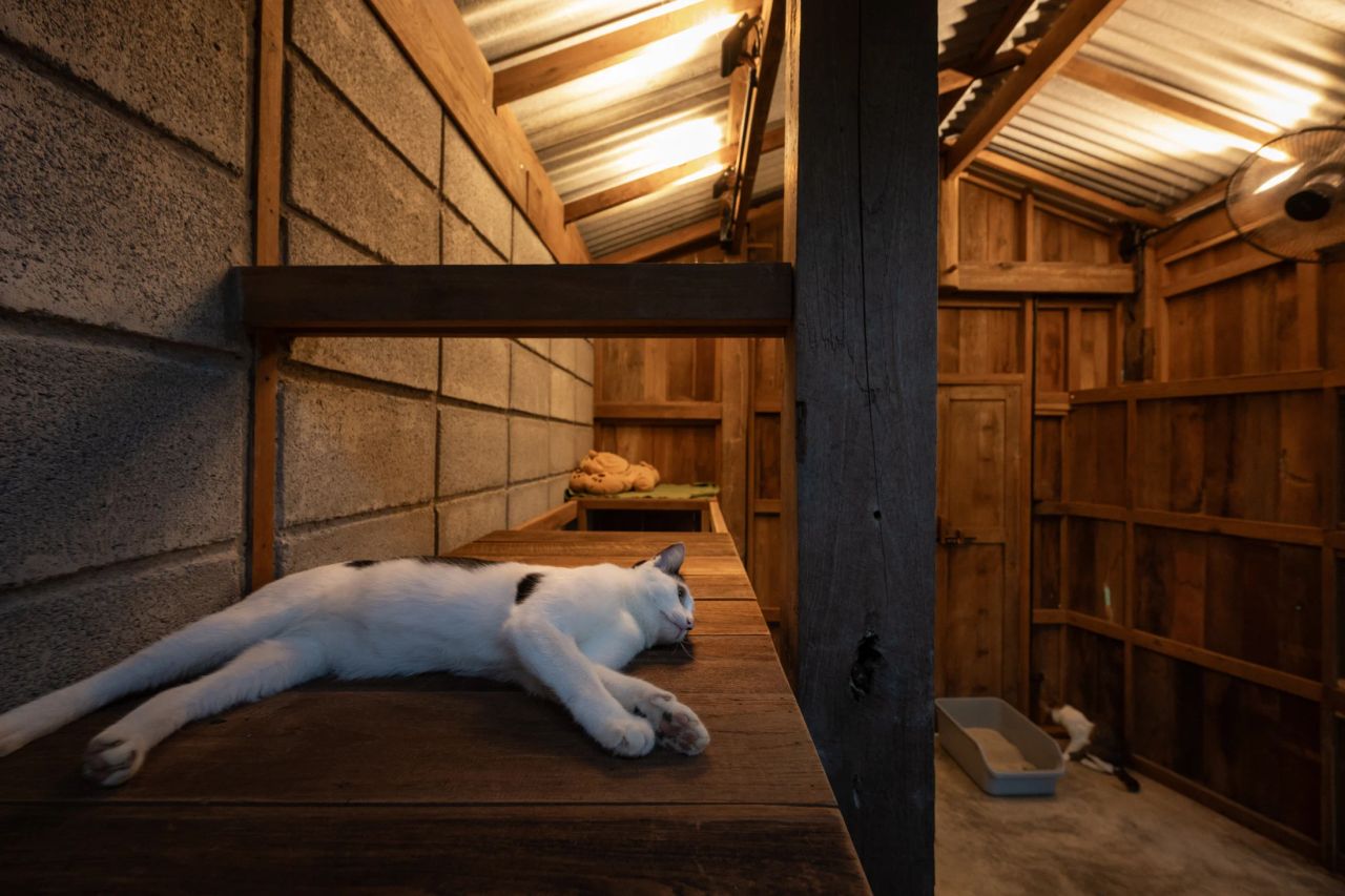 Summer House — project photograph 14