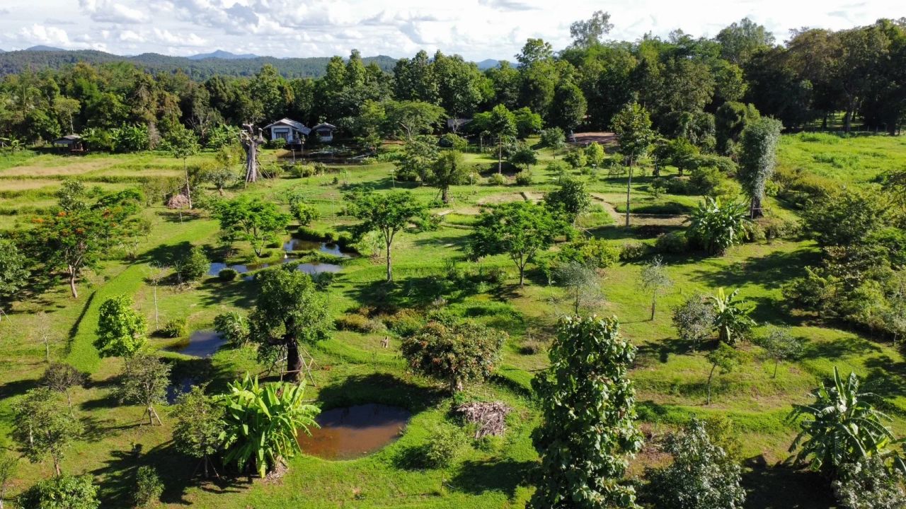 Tham-Tham Pai Garden — project photograph 13