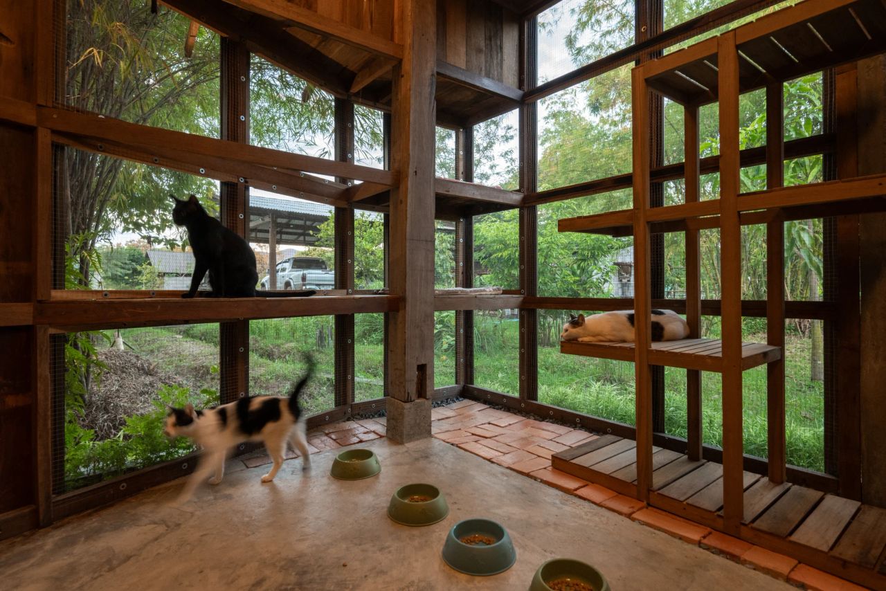 Summer House — project photograph 13