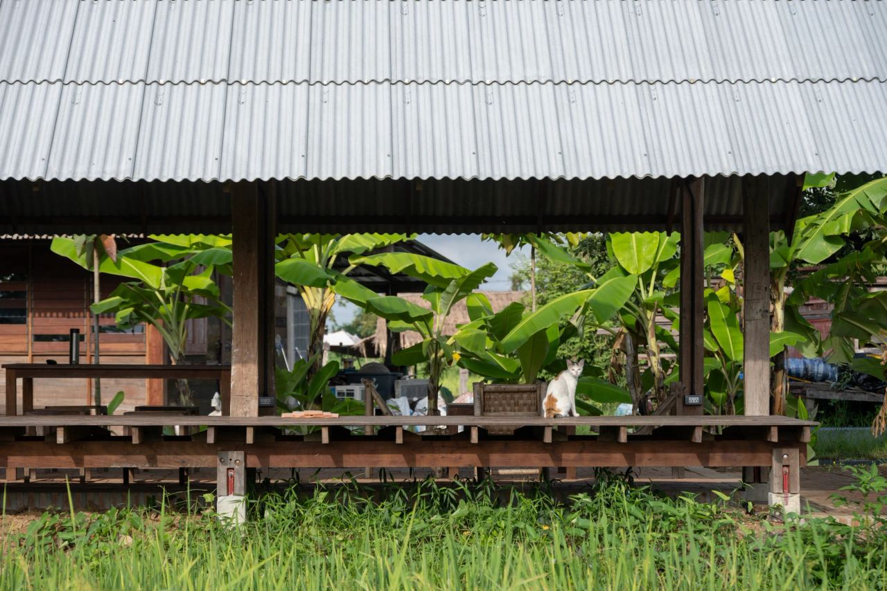 Sala Yangnar — project photograph 11
