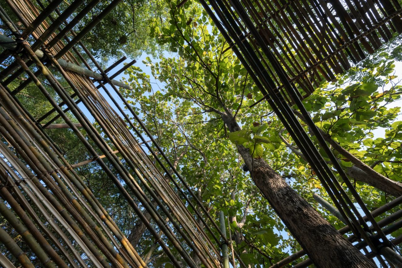 ASA Pavillion — project photograph 7