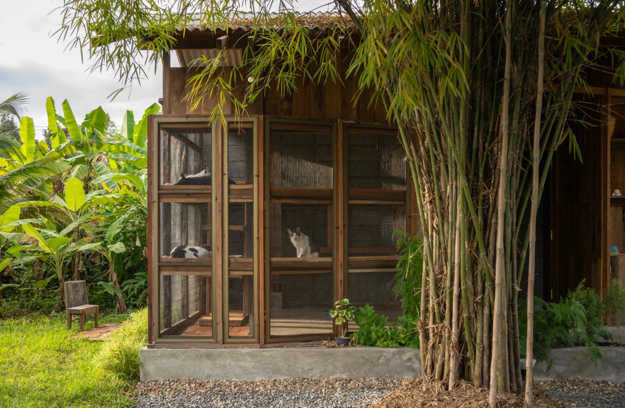 Summer House — project photograph 9