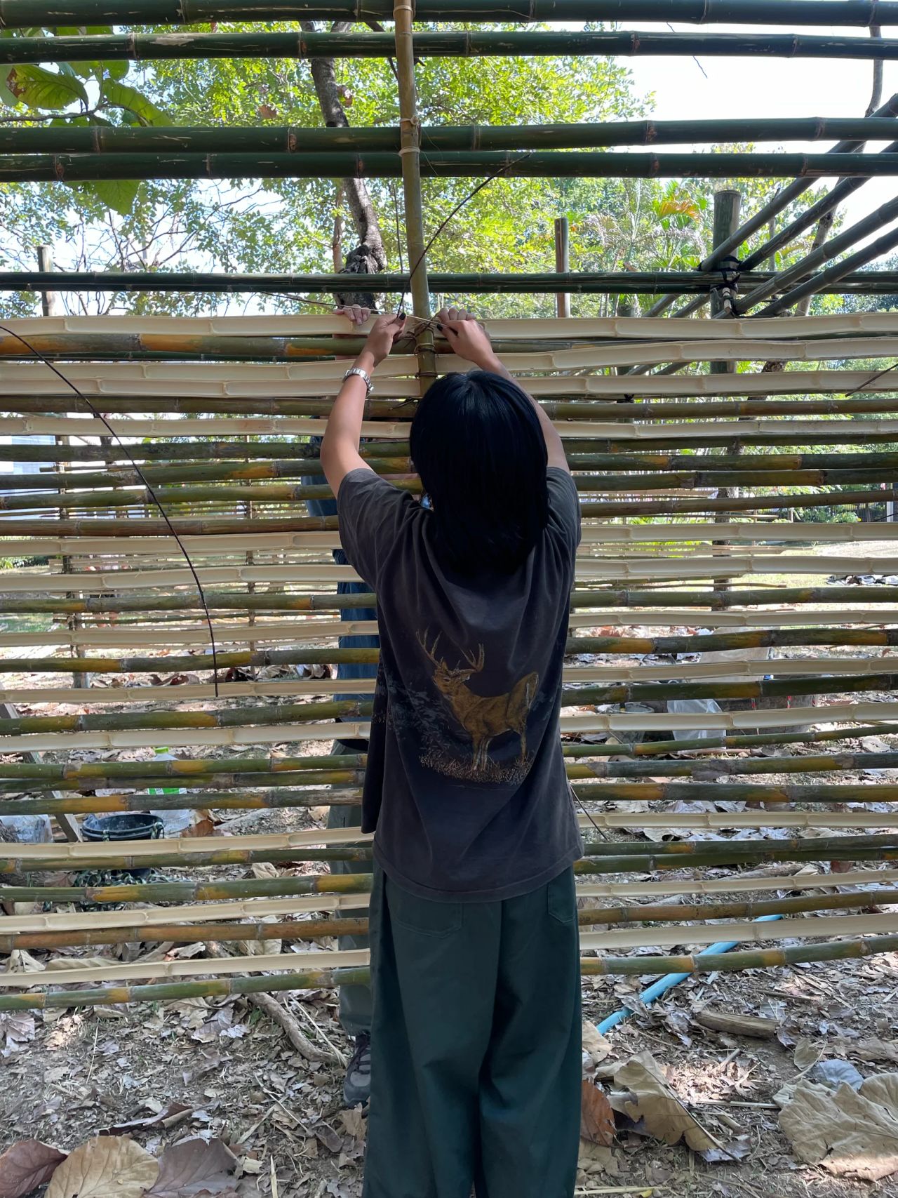 ASA Pavillion — project photograph 20