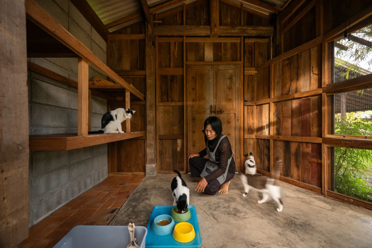 Summer House — project photograph 21