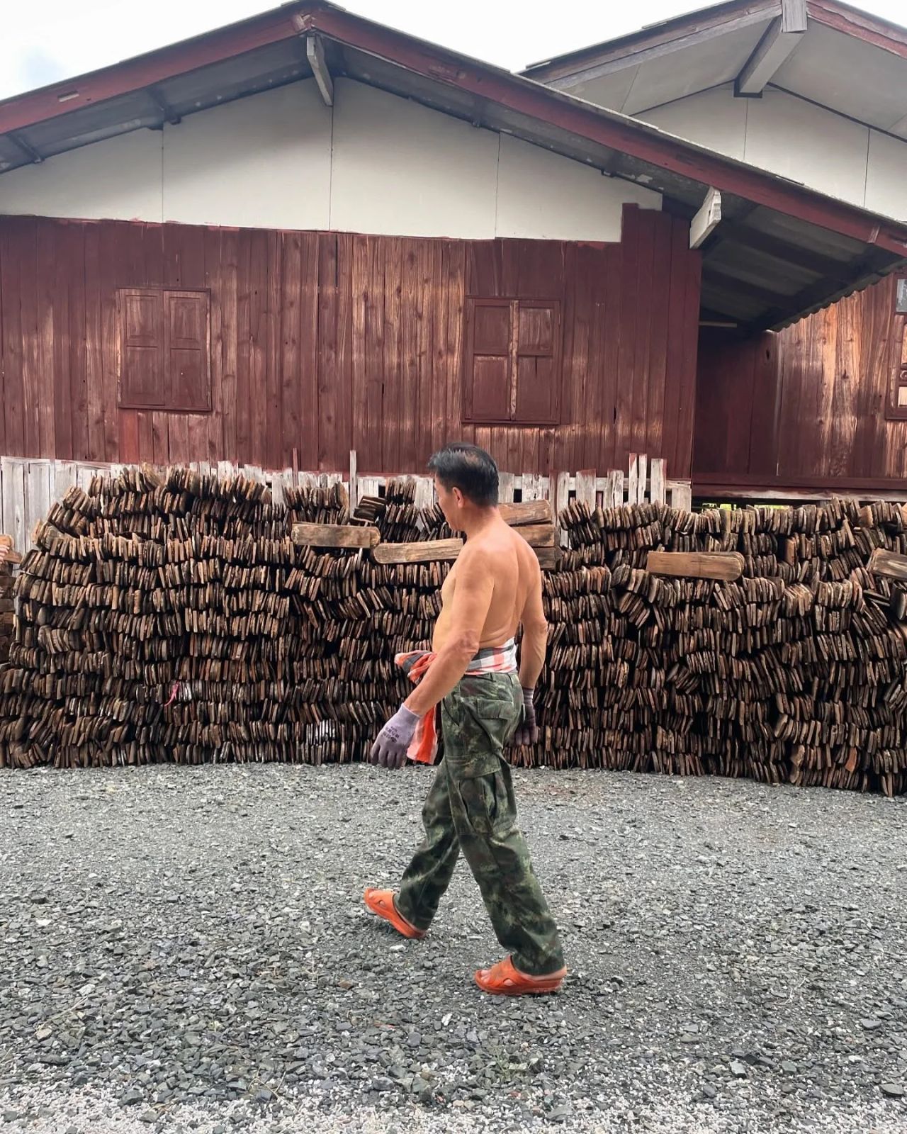 Teak Nest — project photograph 4