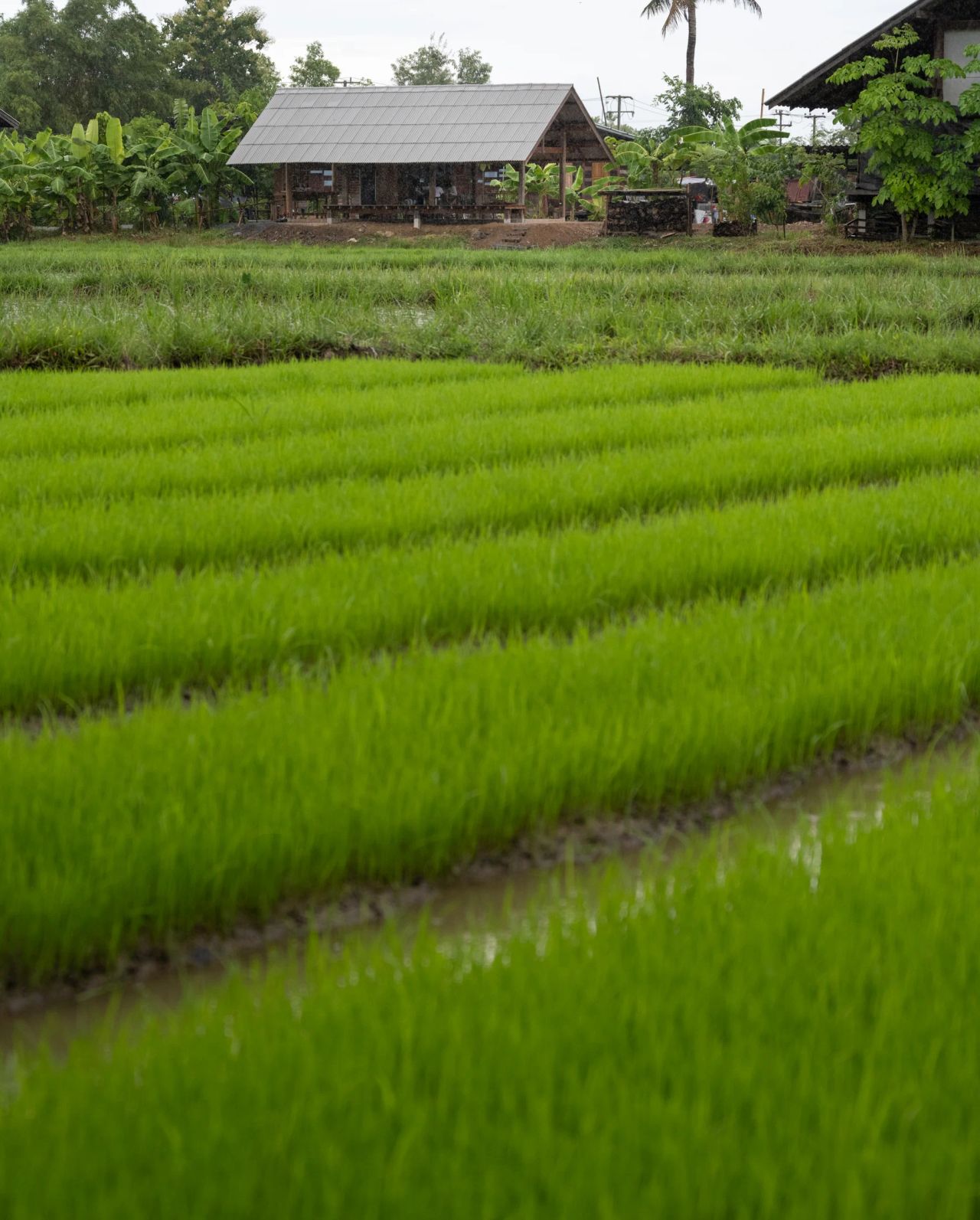 Sala Yangnar — project photograph 19