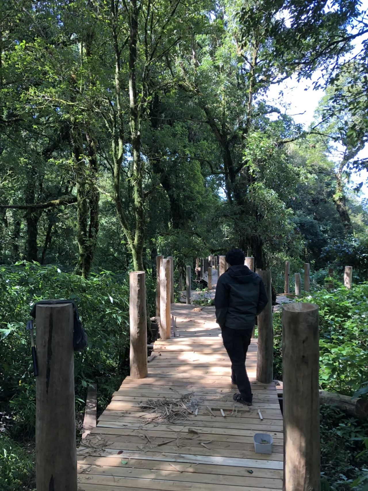 Inthanon Walkway — project photograph 13
