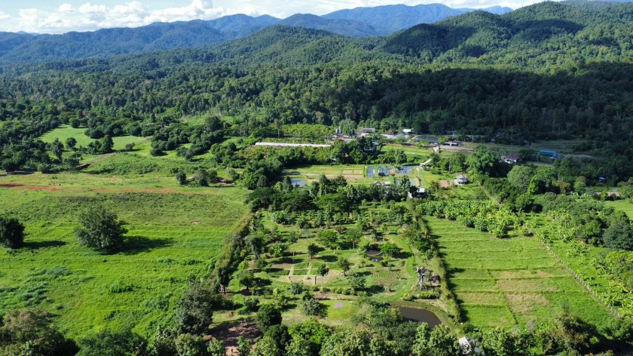 Tham-Tham Pai Garden — project photograph 8