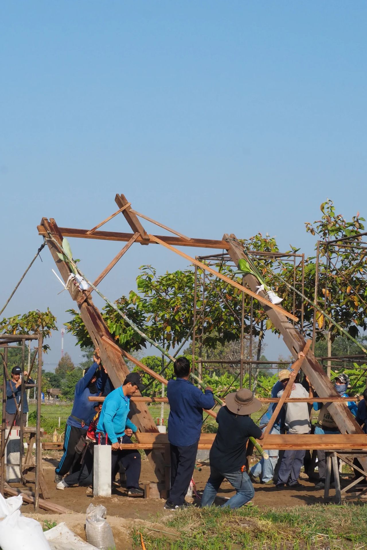 Teak Nest — project photograph 24