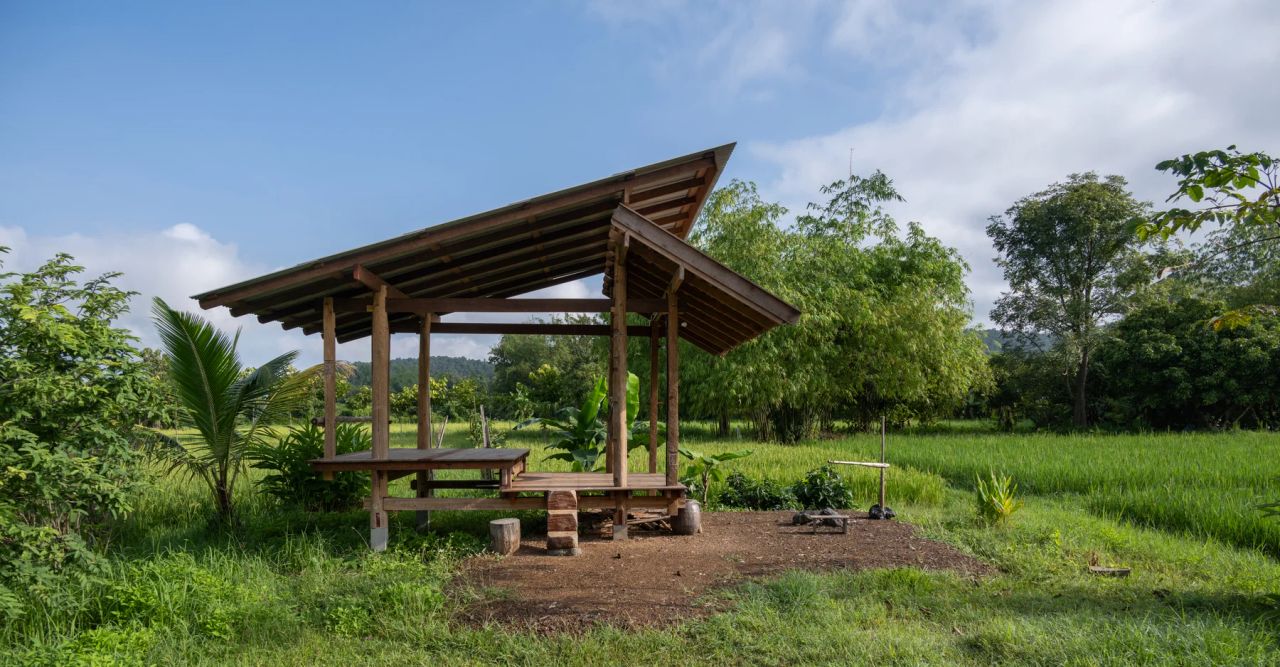 A timber pavilion beside a rice field in northern Thailand