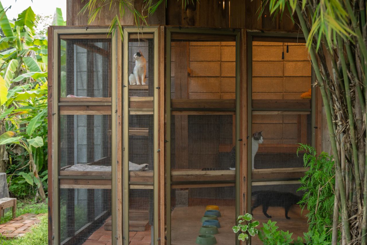 Summer House — project photograph 12