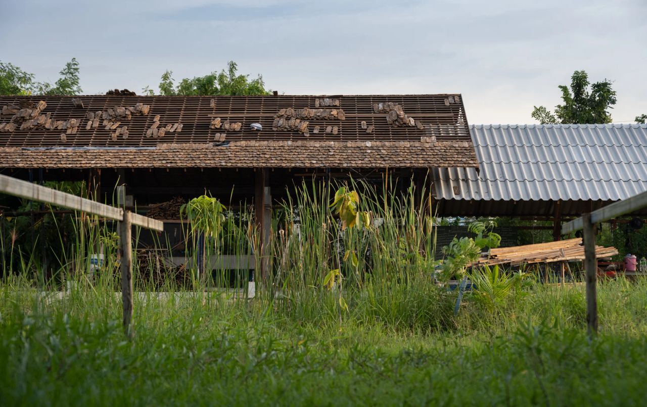 Jinni Organic Home Garden — project photograph 14