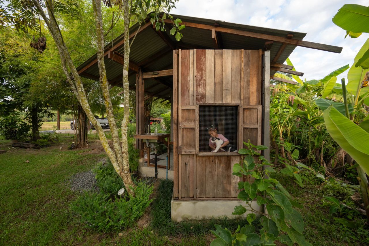 Summer House — project photograph 17