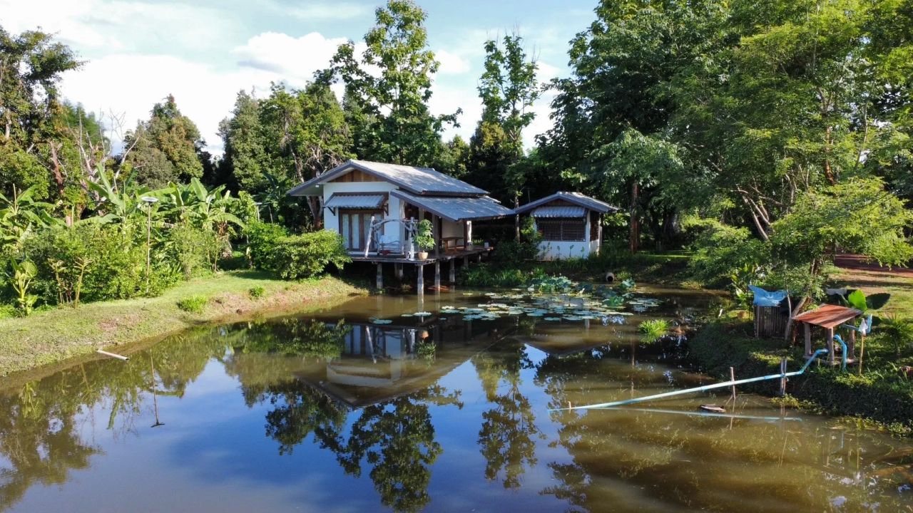 Tham-Tham Pai Garden — project photograph 11