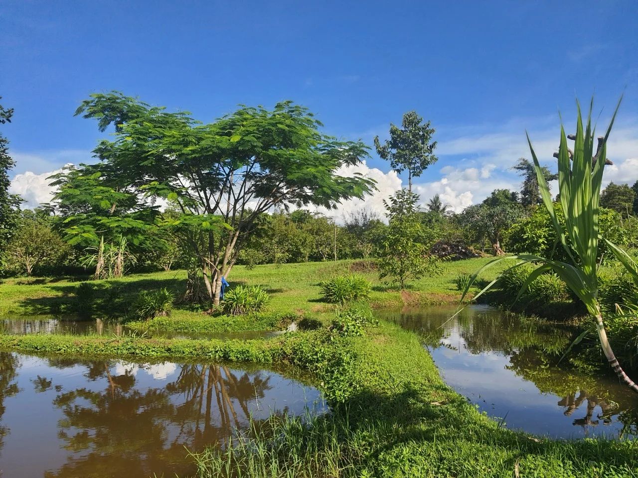 Tham-Tham Pai Garden — project overview