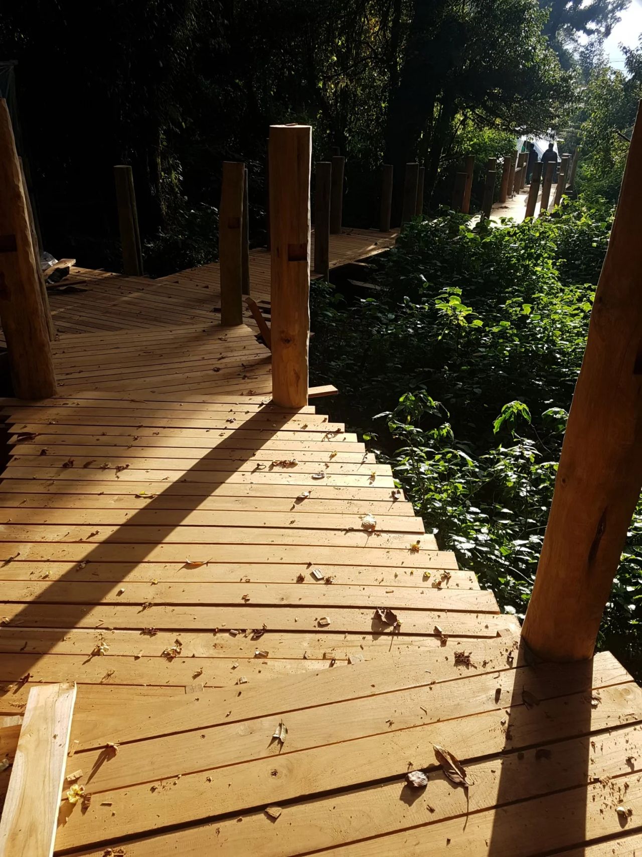 Inthanon Walkway — project overview