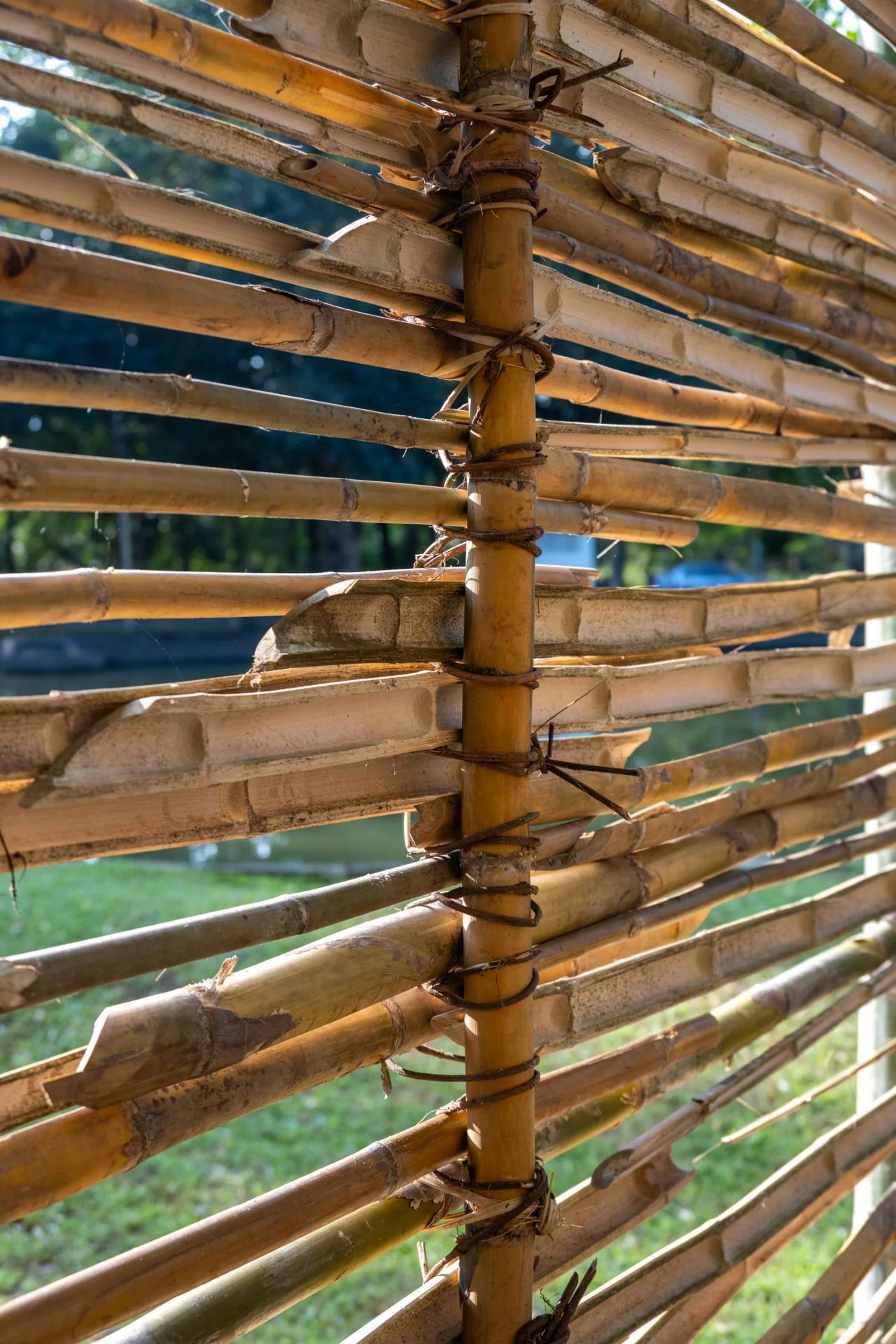 ASA Pavillion — project photograph 10